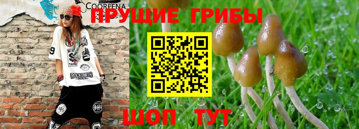 Псилоцибиновые грибы мухоморы Удомля