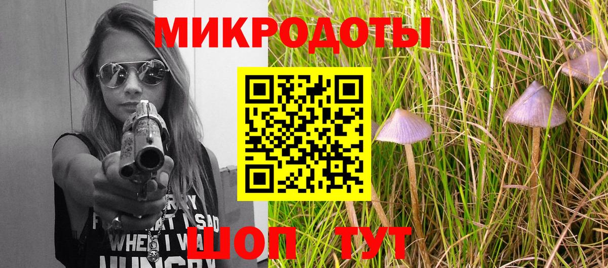 Удомля  Псилоцибиновые грибы мицелий  Вход с VPN 